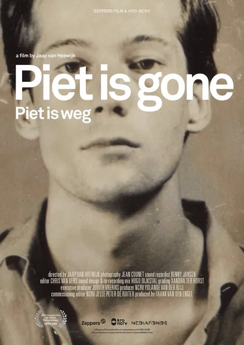 Piet is Gone poster