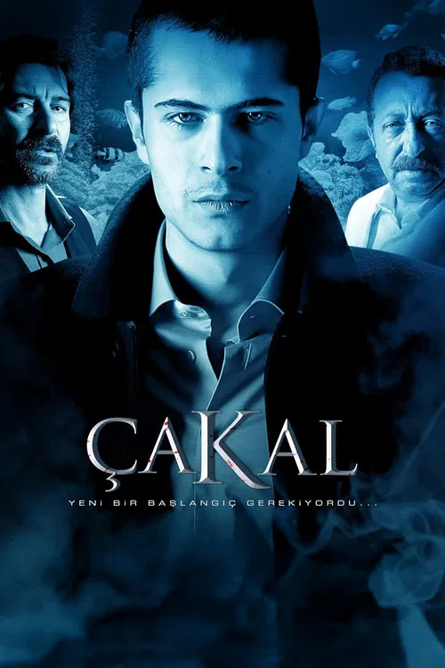 Çakal poster
