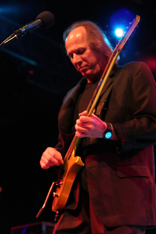 Adrian Belew profile