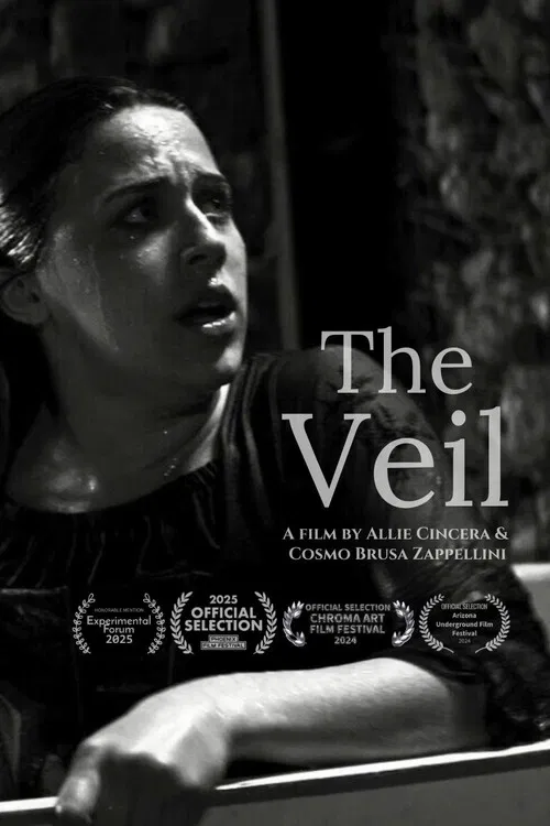 The Veil poster