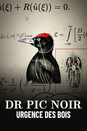 Dr Pic Noir, urgence des bois poster