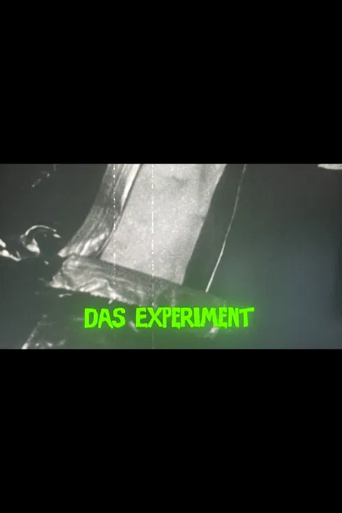 Das Experiment poster