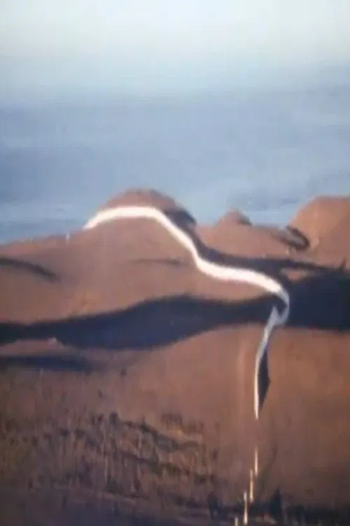 Christo Running Fence Reels poster