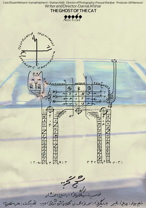 The Ghost of the Cat poster