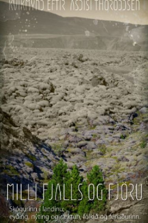 Woods Grew Here Once poster