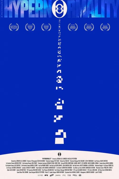 Hypernormality poster