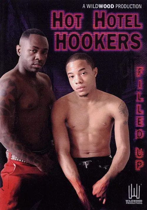 Hot Hotel Hookers poster