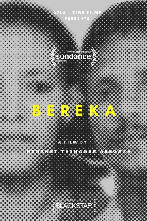 Bereka poster