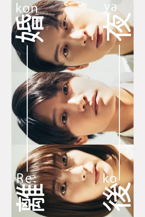 The Night After the Divorce poster