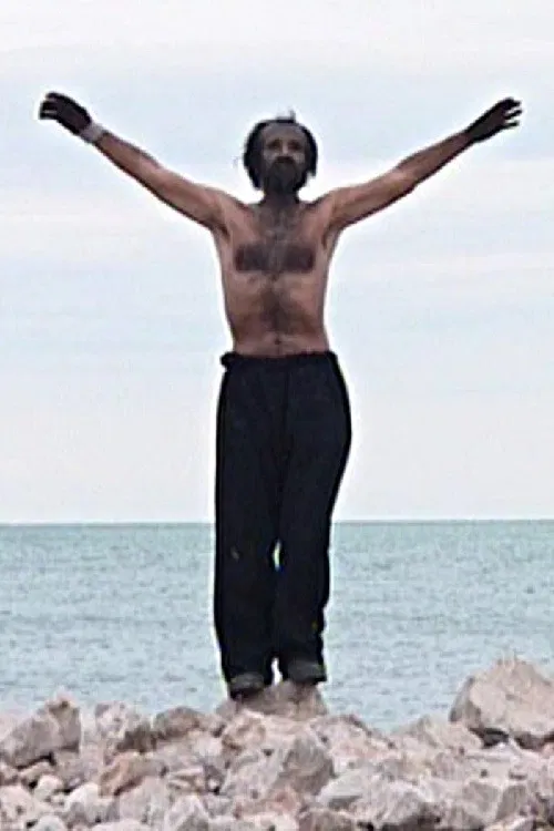 The Old Master poster