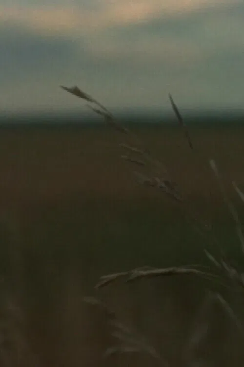 Around Sanford poster