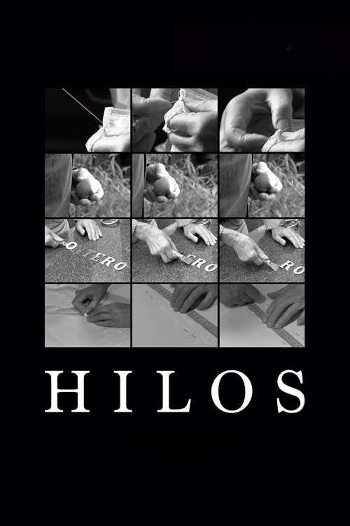 Hilos poster