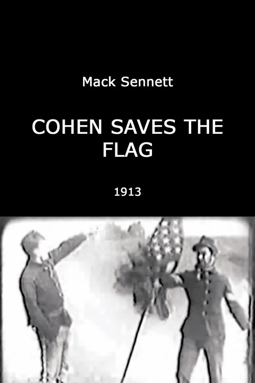 Cohen Saves the Flag poster