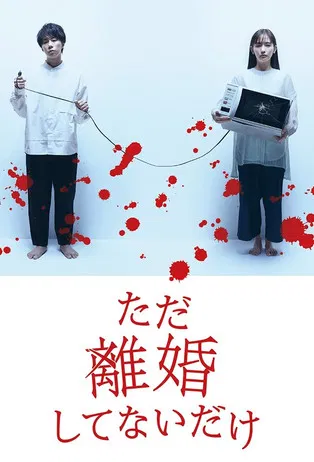 We Are Just Not Divorced poster