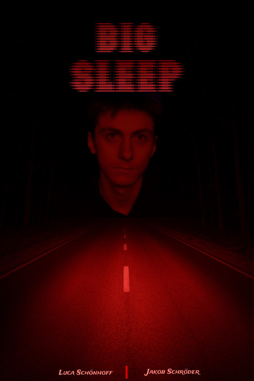 BIG SLEEP poster