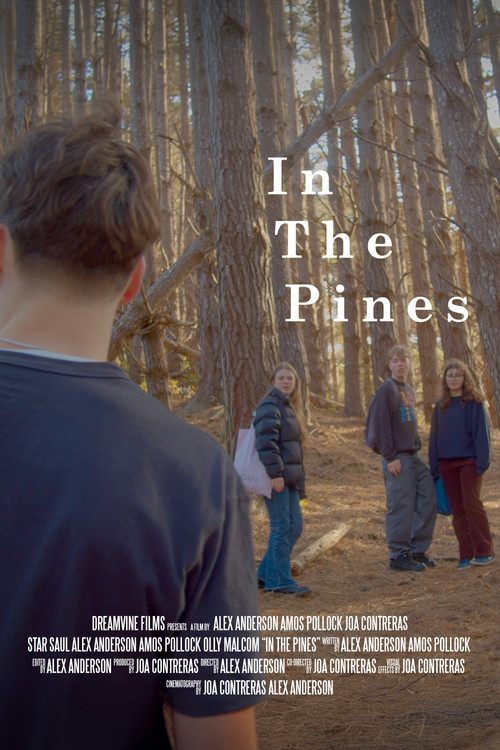 In The Pines poster