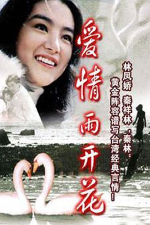愛情雨開花 poster