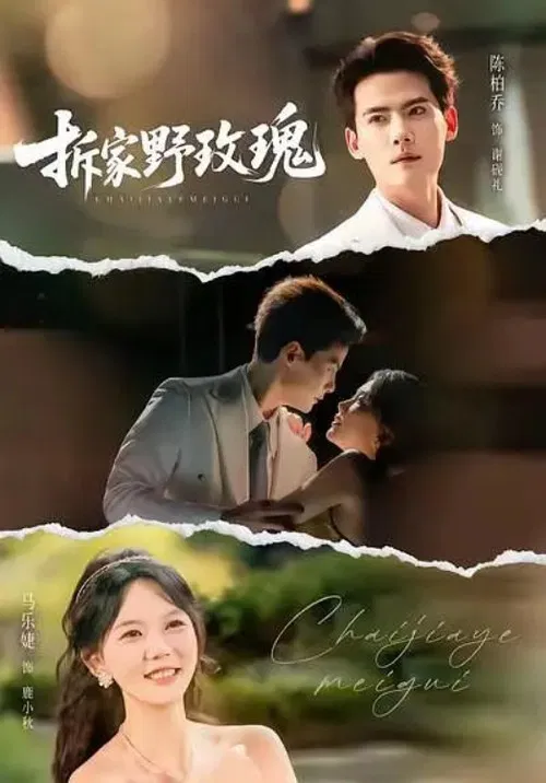 拆家野玫瑰 poster