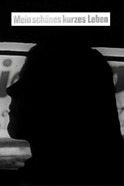 Mein schönes kurzes Leben poster