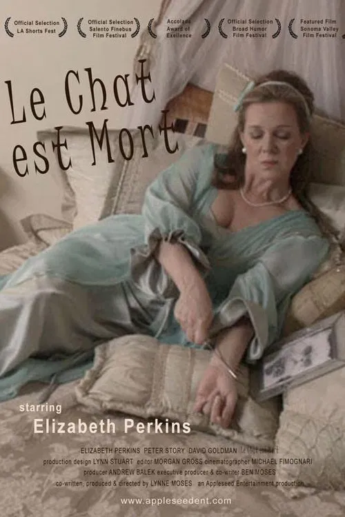 Le Chat Est Mort poster