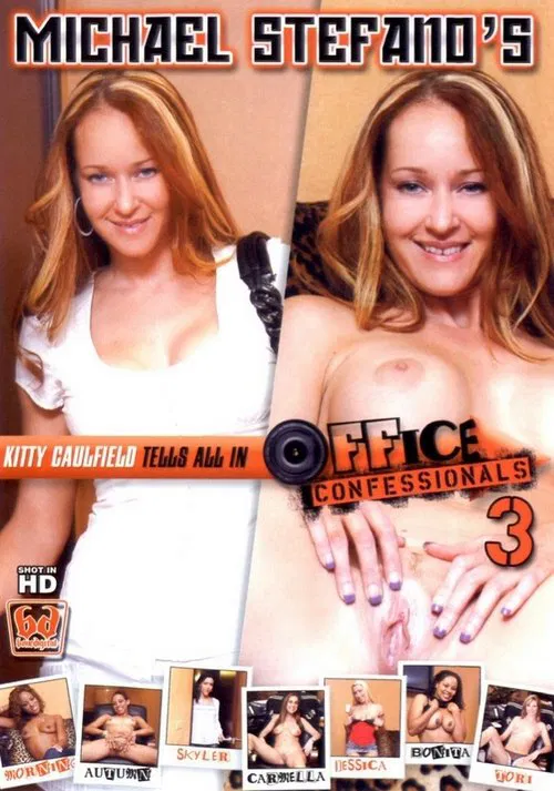 Office Confessionals 3 poster