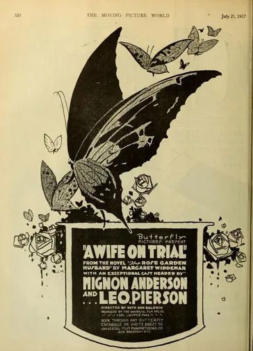 A Wife on Trial poster
