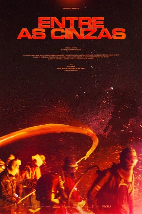 Entre as cinzas poster