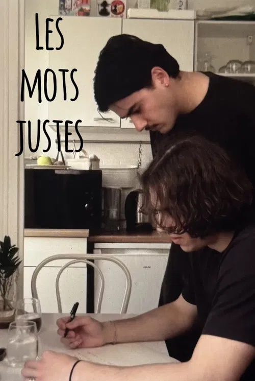 Les mots justes poster
