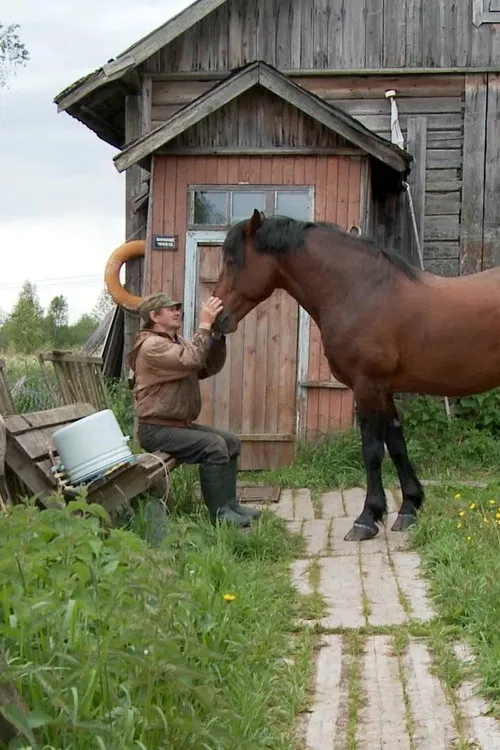 The Robinsons of Mantsinsaari poster