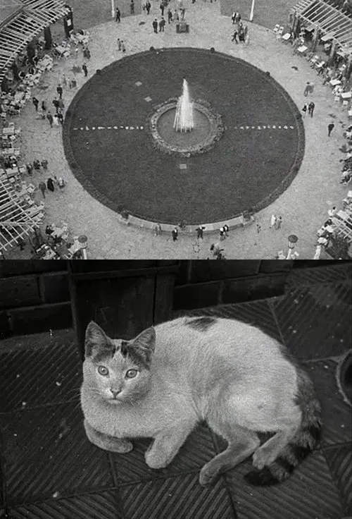 Berlin Still-Life poster