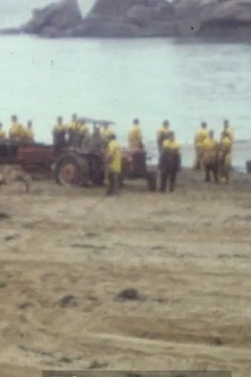 Collection série noire : Tome 4 poster