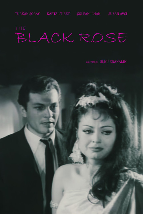 Black Rose poster
