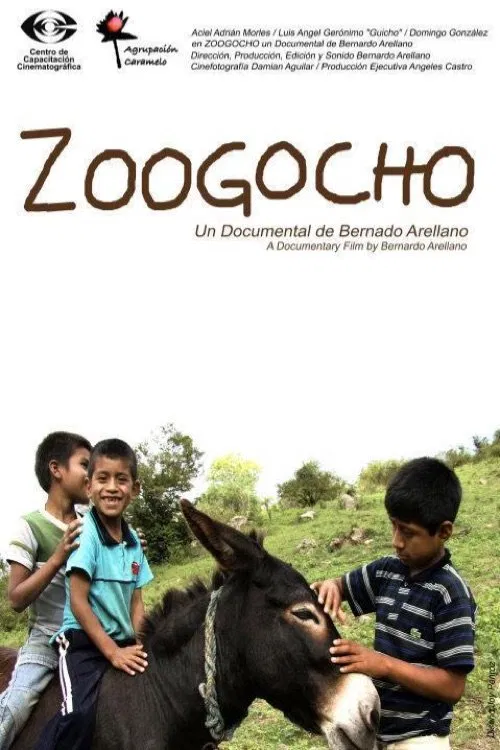 Zoogocho poster
