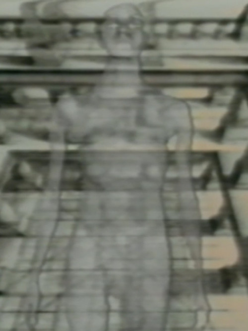 Viewers Of Optics poster