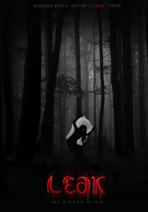 The Wicked Witch poster