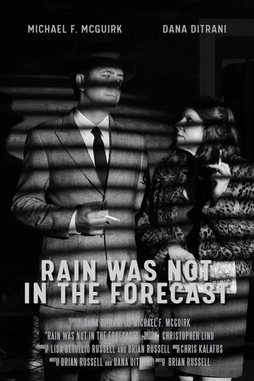 Rain was Not in the Forecast poster