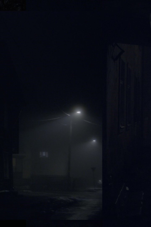 The River and A Cat poster