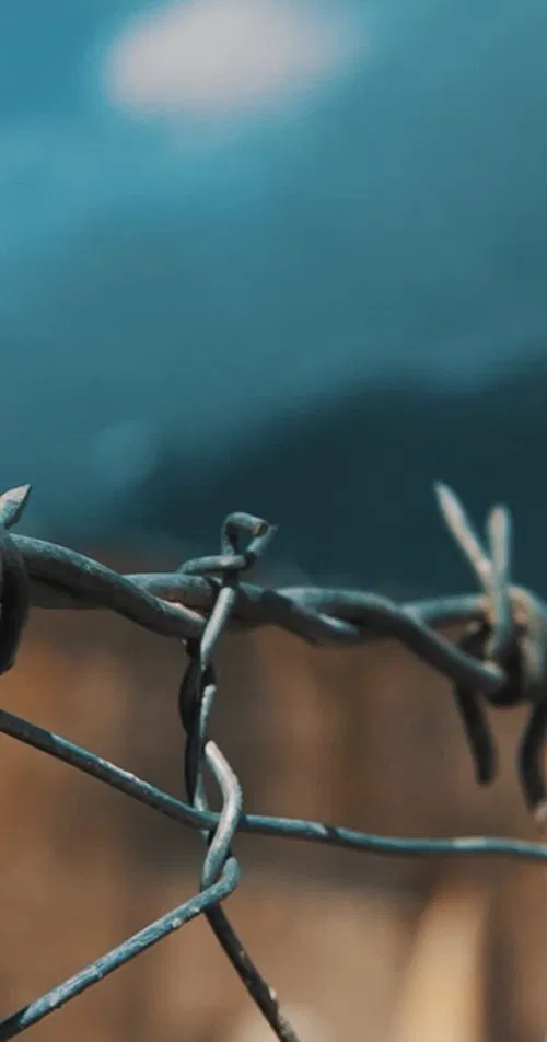 Children of the Dictatorship poster