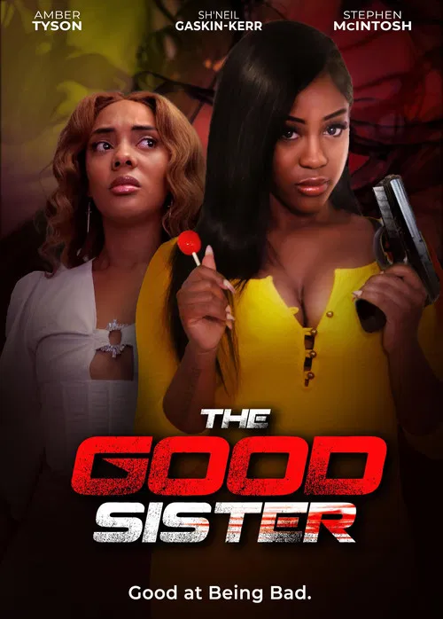 The Good Sister poster