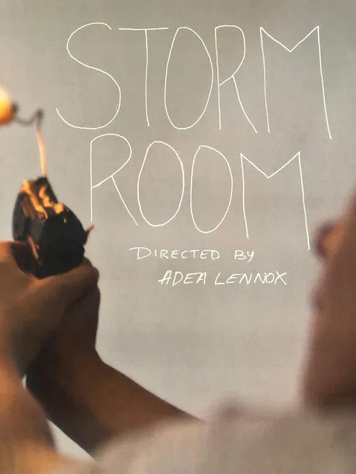 Storm Room poster