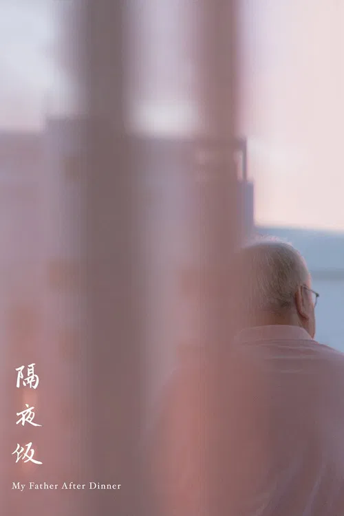 My Father After Dinner poster
