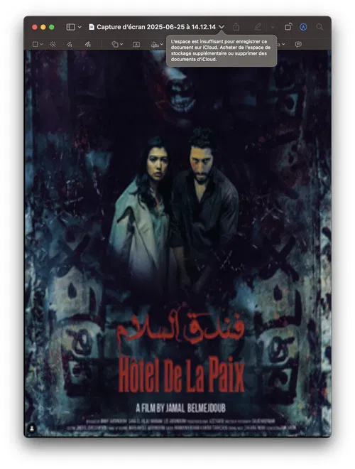 Hôtel de la Paix poster