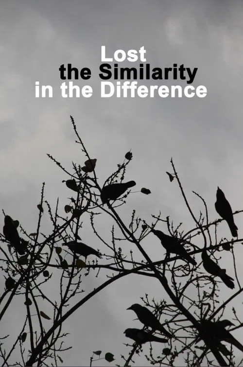 Lost the Similarity in the Difference poster