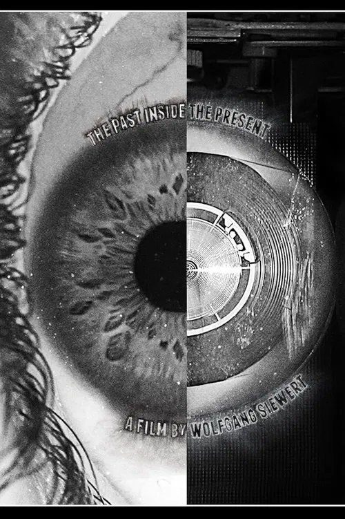 The Past Inside The Present poster