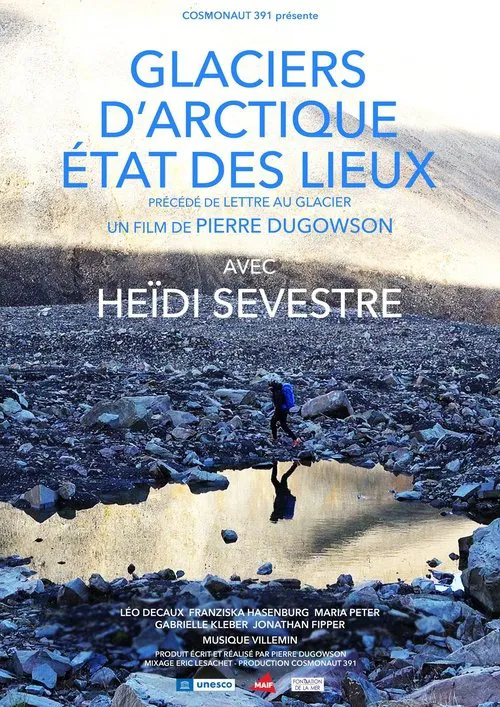 Glaciers d'Arctique, état des lieux poster