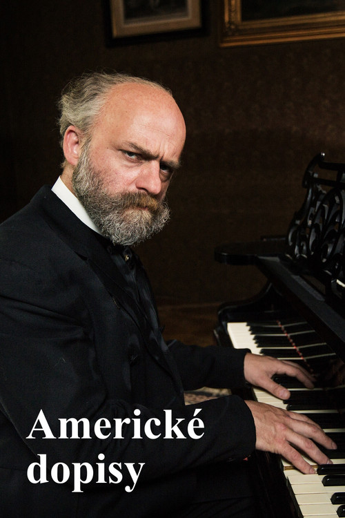 The American Letters poster