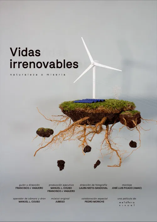 Vidas Irrenovables poster