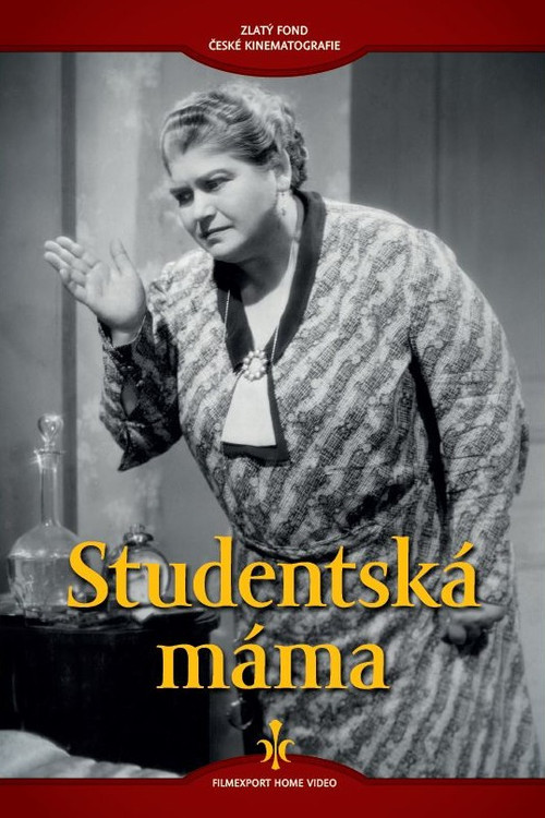 Studentská máma poster