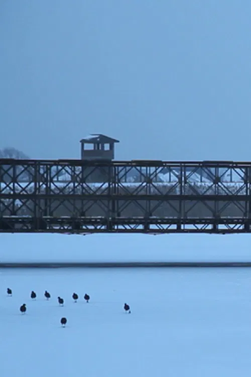 Ejercicio 3: Documental poster