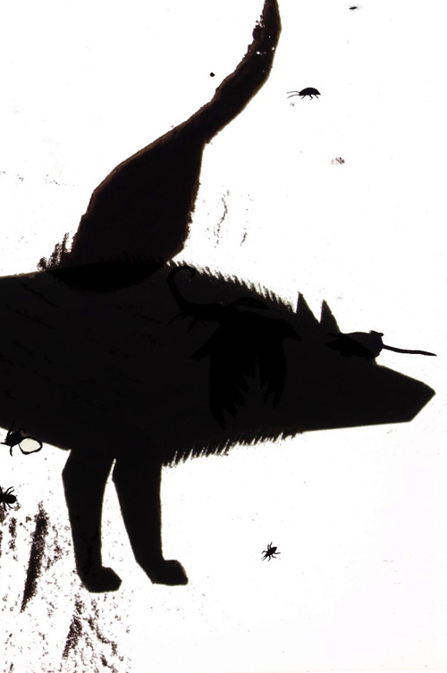 From Under Which Rock Did They Crawl Out poster